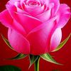 user3908231355292