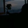 simaney293