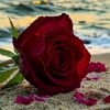 ayeshajaan572