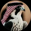 s_a_m_a_r.2