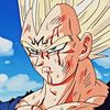 vegeta______1
