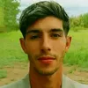 willbull_