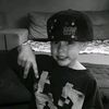 _fales_