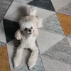 kirya111