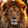 huseyin_can_47