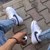nebi_3.66