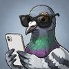The Post Pigeon