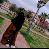 user278635166