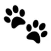 Pet Haven