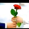 almana607