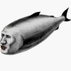 obviouslymalo