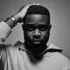 sark.gh14
