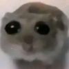 zincuxz_313