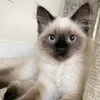 lucy09325