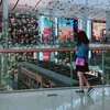 bora.korea