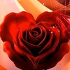 hulya_449