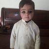 user441263551
