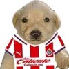 yoan.osvaldo