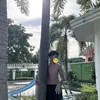 jericsteve