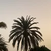 antoonnlol