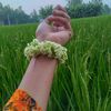 user2207221811341