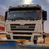 tamim66266