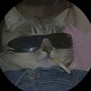 smallz.zz
