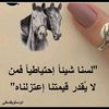 user3114779914991