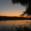 thuysinh77