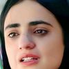 dardaan.baloch