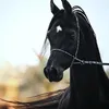 mustafa.hussein_11