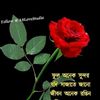md.akbar.kaun.85