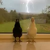 tuffpuppymane