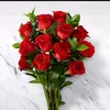 11_kkv1