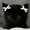 michetkvj38