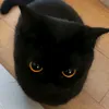 adrii_qwaky86