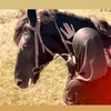 amohka_777