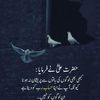 nazeer.ahmed9314