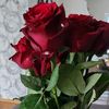 __lejla..12