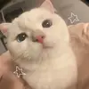 iaaaaakaaa