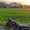 wong_tulus1565