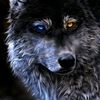 lezy_dog