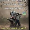 om.ali720