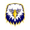 eagle.eyes.96