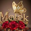 .miss37melek1