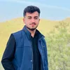 qasm_4dil