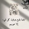 amira.ali.algacm