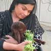 naziaarain1