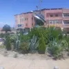 jamiliahmed