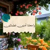 abo.tariq294